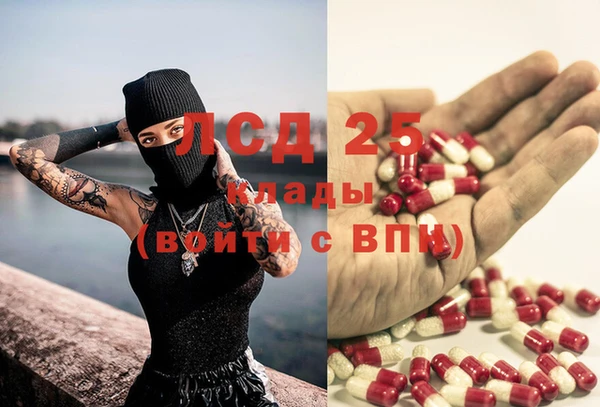 мяу мяу мука Баксан