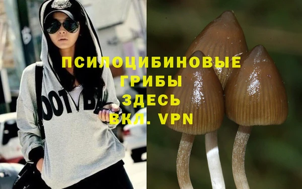 Альфа ПВП Балахна